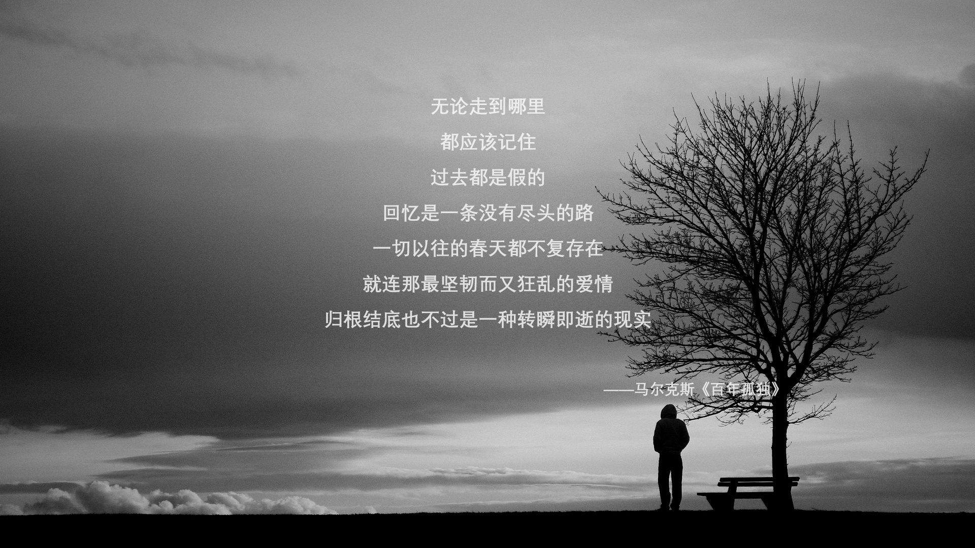 体操世界冠军走进校园普及运动知识,体操队世界冠军榜