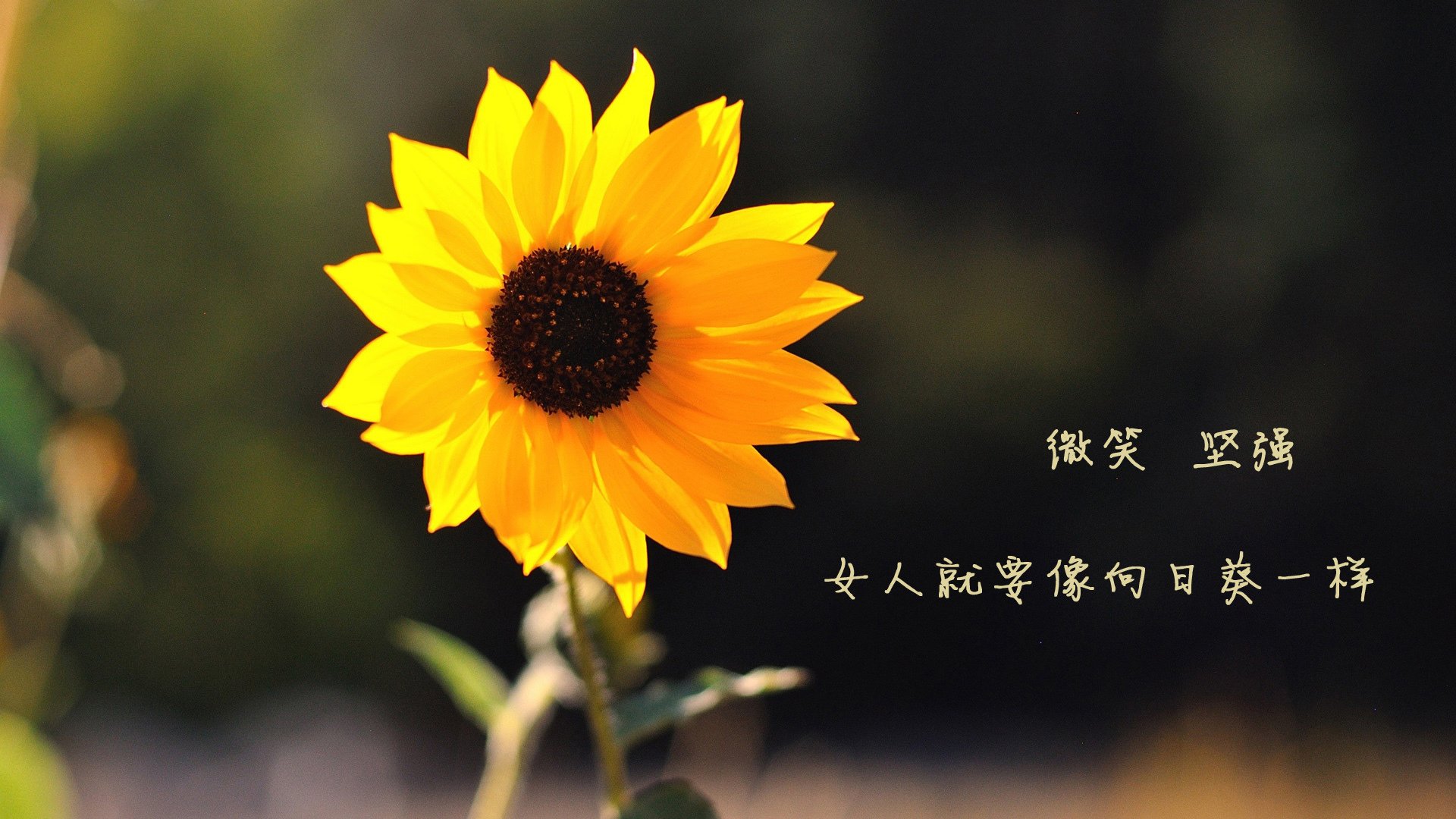 冬奥备战高原训练效果显著,冬奥会备战情况