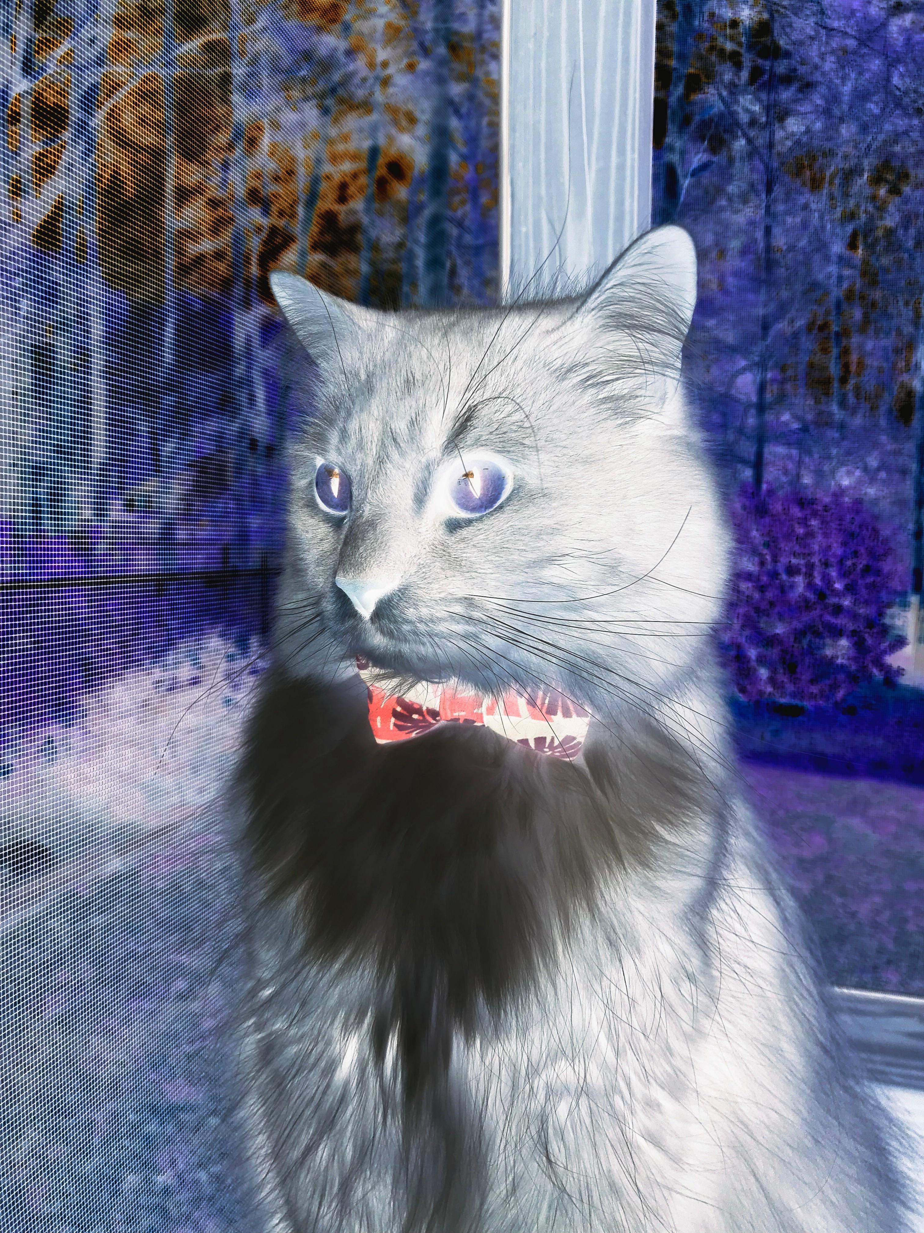 联盟中最有节奏感的进攻战术是哪种,英雄联盟节奏快的英雄