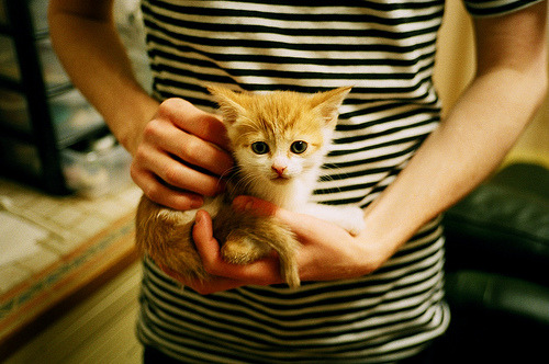 职业联赛替补席角色开发不充分，职业选手替补