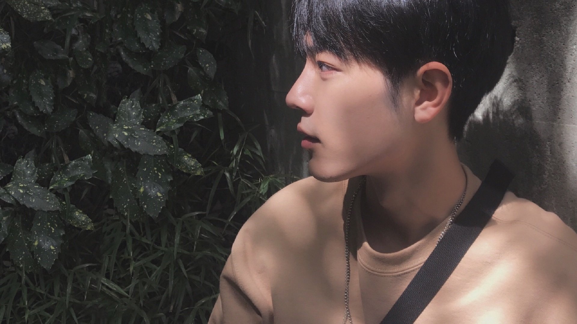 中国篮球推动运动员就业转型培训计划，中国篮球人才培养