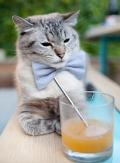 凯琳·科贝特200米蛙泳决赛展现强劲爆发力,美国游泳凯瑟琳贝克