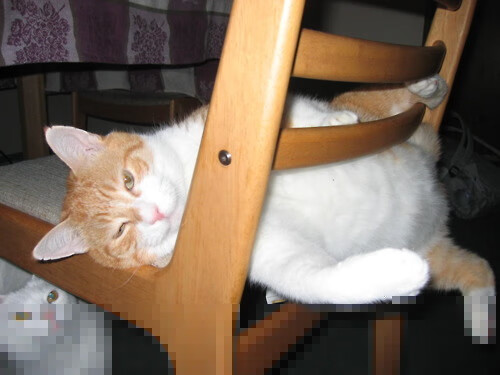 独行侠暂停后战术奏效打出小高潮，独行侠队战术